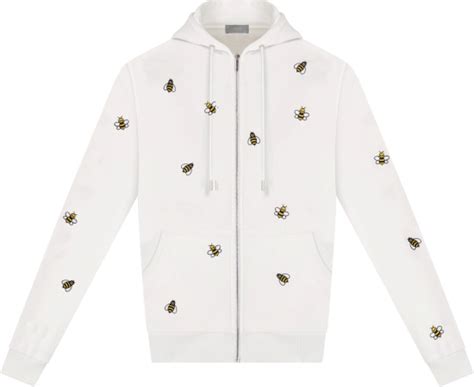 dior kaws hoodie bee